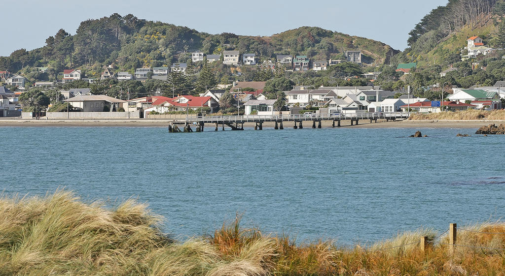 Beachfront Wellington Bed And Breakfast Eksteriør bilde