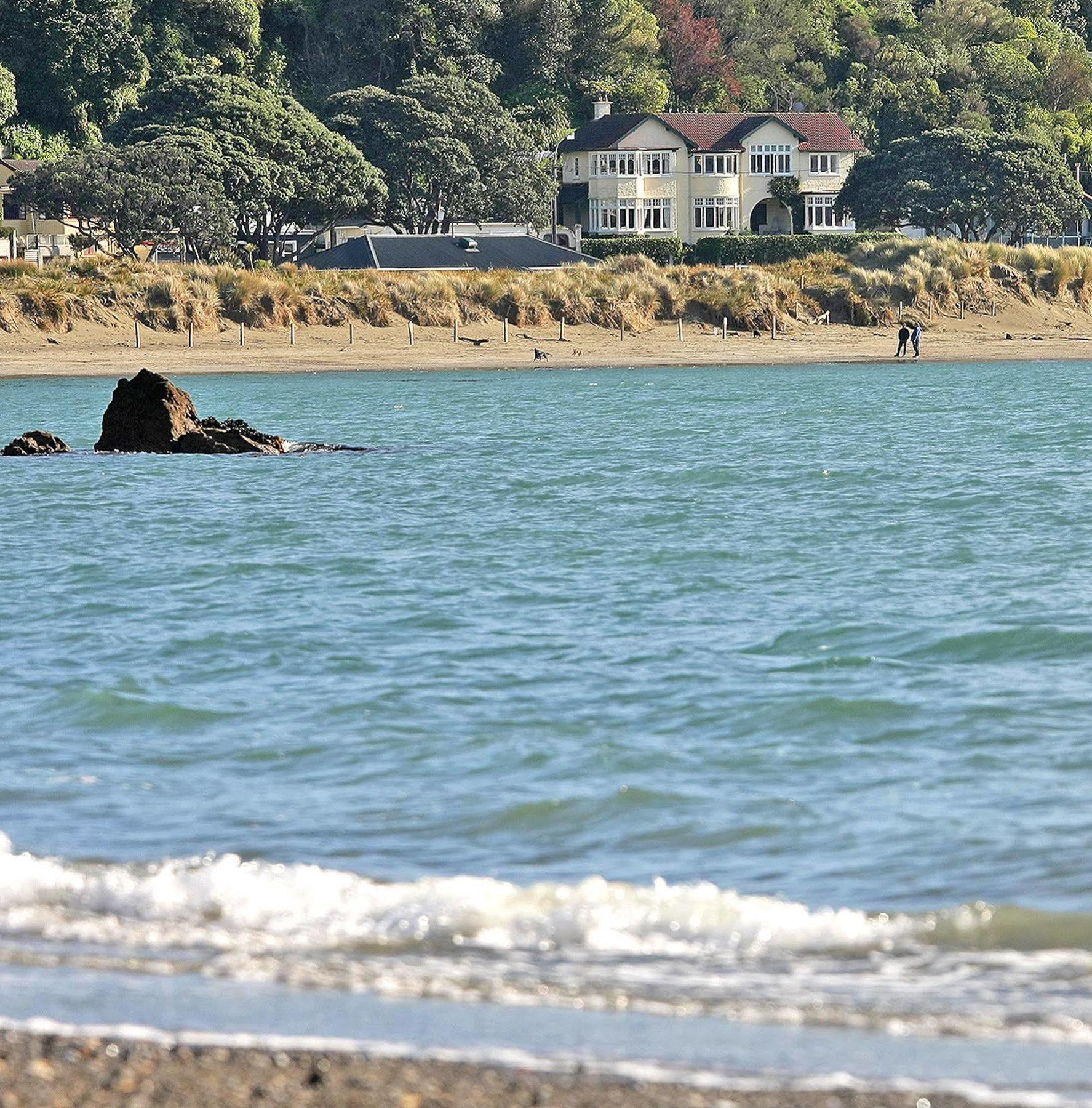 Beachfront Wellington Bed And Breakfast Eksteriør bilde